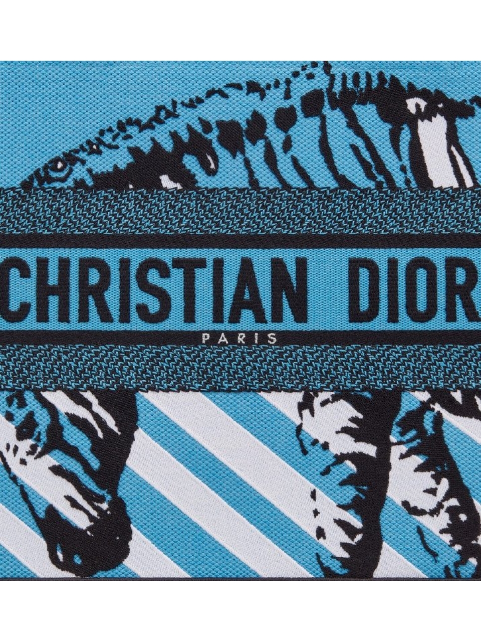 Сумка Christian Dior